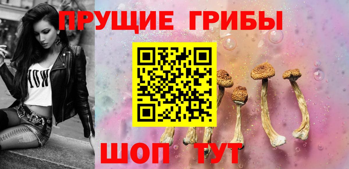 Псилоцибиновые грибы GOLDEN TEACHER Орехово-Зуево