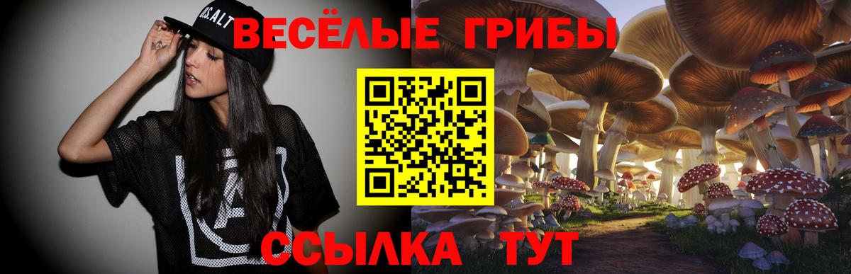 Галлюциногенные грибы Psilocybine cubensis  Вход с VPN  Орехово-Зуево 