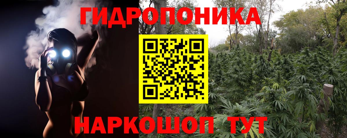Шишки марихуана планчик  Вход с VPN  МАРИХУАНА конопля  Орехово-Зуево  Бошки Шишки ГИДРОПОН 